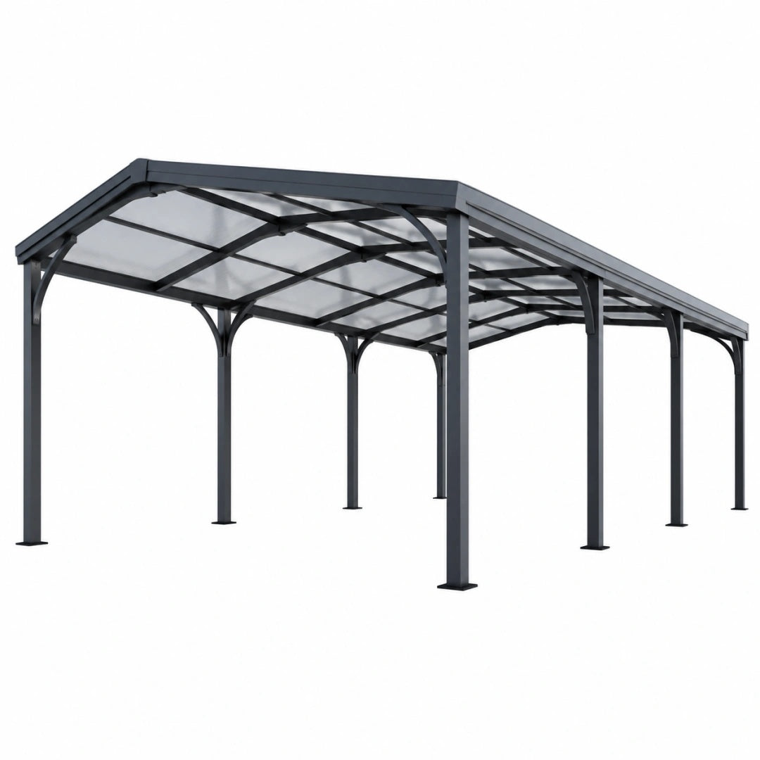 Abri voiture 600 x 300 x 250 cm en acier noir avec toit transparent